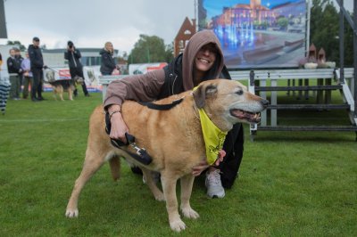 IMG_0226
