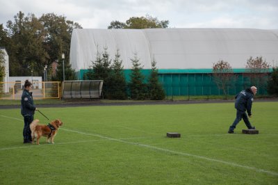 IMG_0325
